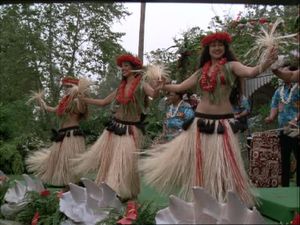 Death In Hawaii