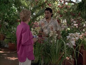 Death In Hawaii