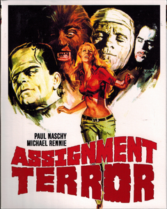 Assignment Terror