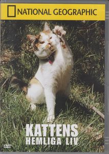 Kattens Hemliga Liv