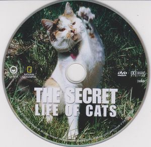 Kattens Hemliga Liv