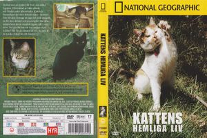 Kattens Hemliga Liv