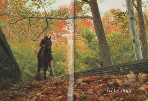 Seabiscuit