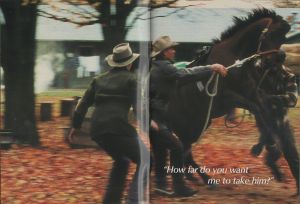 Seabiscuit
