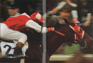 Seabiscuit