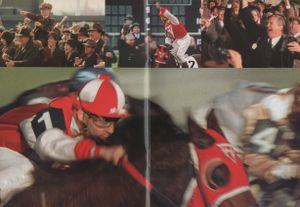 Seabiscuit