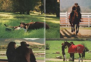 Seabiscuit