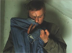 Brokeback Mountain (2-Disc Collector's Edition)