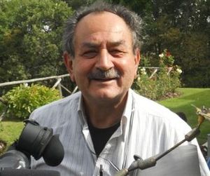 Adolfo Bartoli