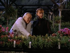 The Scent Of Murder