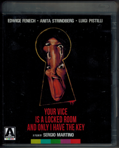 Your Vice Is A Locked Room And Only I Have The Key
