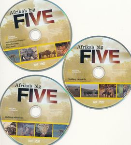 Afrika's big Five