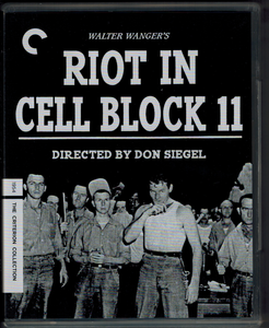 Riot In Cell Block 11
