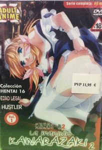La Mansión Kawarazaki 2