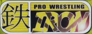 Pro Wrestling Iron