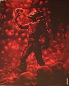 Predator: 3-Movie Collection