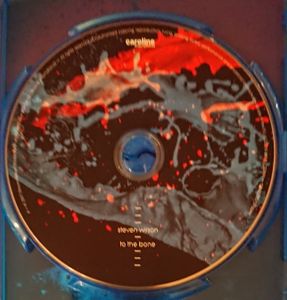 Steven Wilson: To The Bone