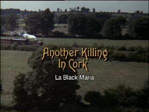 Another Killing In Cork