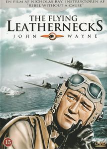 The Flying Leathernecks
