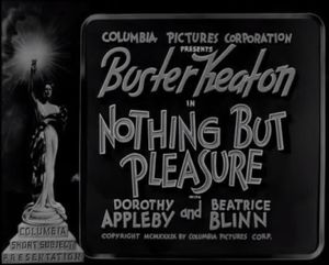 Nothing But Pleasure