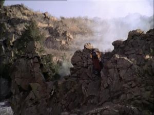 A Quaking In Aspen