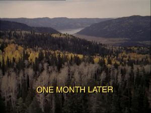A Quaking In Aspen