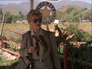 The Secret of Gila Junction