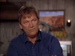 Bo Svenson