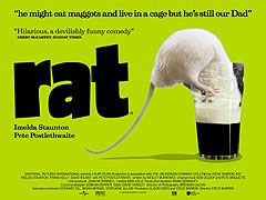 Rat