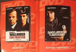 Wallander: Byidioten
