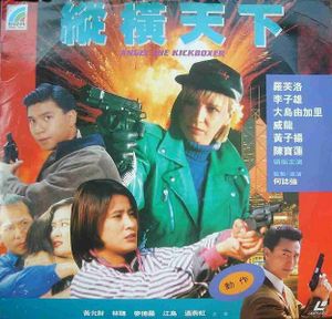 縱橫天下