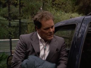 Wings Hauser
