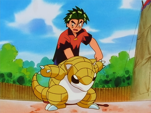 ポケモンリーグへのみち