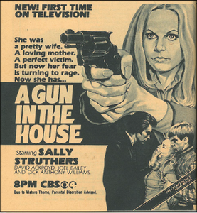 A Gun In The House