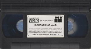 I Demonernas Våld: A Chinese Ghost Story