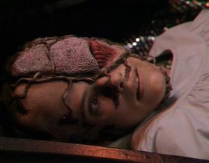Terror Of The Vervoids