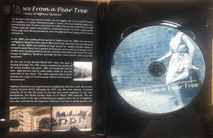 Views From A Pear Tree
