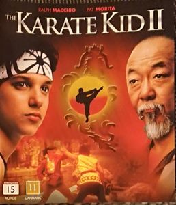 The Karate Kid II