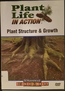 Plant Life In Action