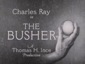 The Busher