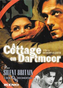 A Cottage on Dartmoor
