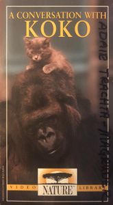 A Conversation With Koko