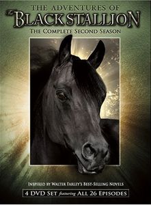 The Adventures of the Black Stallion
