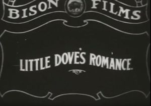 Little Dove's Romance