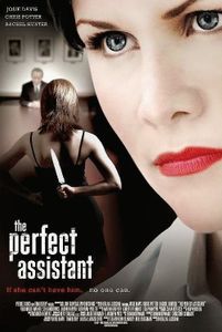 The Perfect Assistant