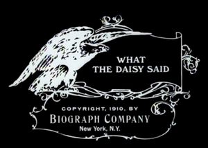 What the Daisy Said