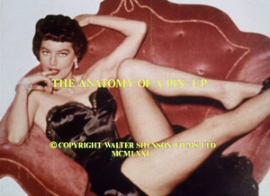 The Anatomy of a Pin-Up