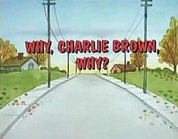 Why, Charlie Brown, Why?