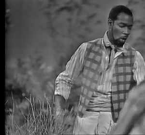 Don Powell
