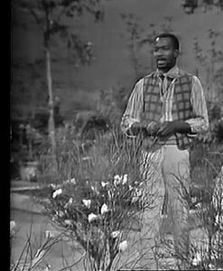 Don Powell